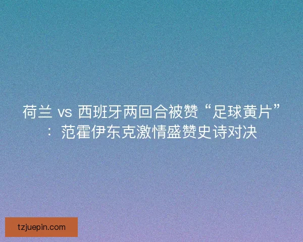 荷兰 vs 西班牙两回合被赞 “足球黄片”：范霍伊东克激情盛赞史诗对决
